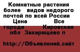 Комнатные растения более200видов недорого почтой по всей России › Цена ­ 100-500 - Все города  »    . Кировская обл.,Захарищево п.